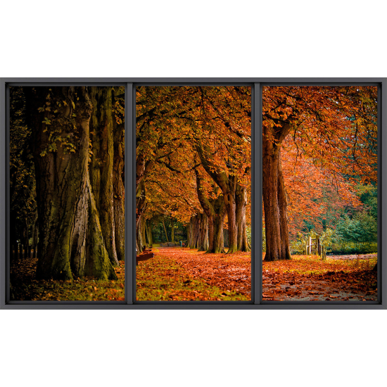 Papier peint panoramique Trompe l'œil baie vitrée - Forêt