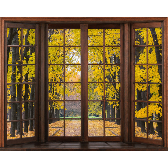 Papier peint panoramique Trompe l'œil Fenêtre en bois - Chemin