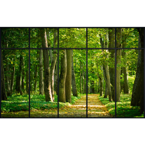 Papier peint panoramique Trompe l'œil Verrière - Chemin forêt