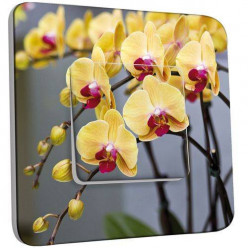 Interrupteur Décoré Poussoir - Orchidée jaune 