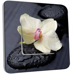 Interrupteur Décoré Poussoir - Pierres Orchidé 10