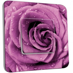 Interrupteur Décoré Poussoir - Rose Mauve Zoom