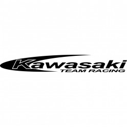 kawasaki team racing
