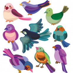 Kit stickers oiseaux