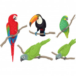 Kit stickers oiseaux tropicaux