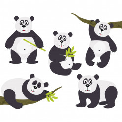 kit stickers pandas