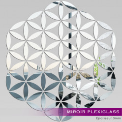 Miroir Plexiglass Acrylique - Rose des sables
