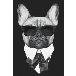 Poster - Affiche chien hipster