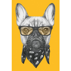 Poster - Affiche chien hipster