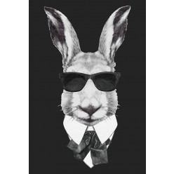 Poster - Affiche lapin hipster