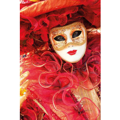 Poster - Affiche venise vénitienne