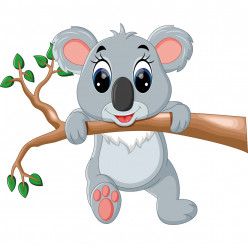 Stickers branche koala