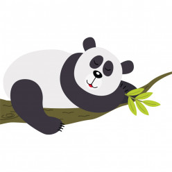 Stickers branche panda