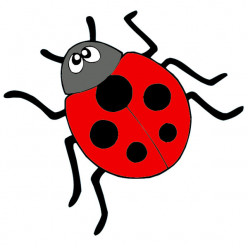 Stickers Coccinelle