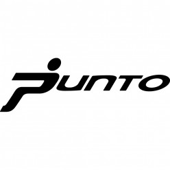 Stickers fiat punto