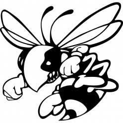 Stickers frelon hornet