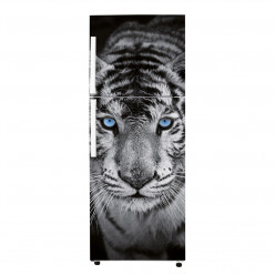 Stickers Frigo - Tigre 2