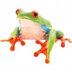Stickers grenouille