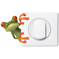 Stickers grenouille pour prise et interrupteur