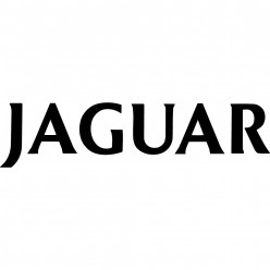 Stickers jaguar