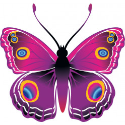 Stickers papillon