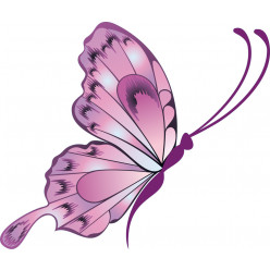 HTAIGUO 24 Pcs 3D Papillon Stickers Muraux Art Décor Stickers avec