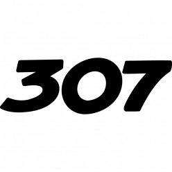 Stickers peugeot 307