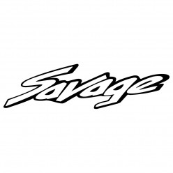 Stickers suzuki ls 650 savage