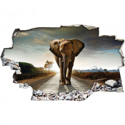 Stickers Trompe l'oeil 3D - Elephant