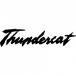 Stickers yamaha thundercat