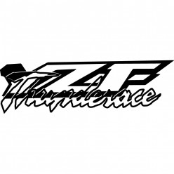 Stickers yamaha yzf thunderace