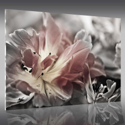 Tableau Plexi Fleur