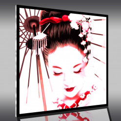 Tableau Plexi Geisha