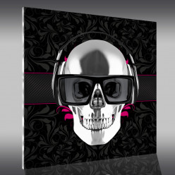 Tableau Plexi Skull