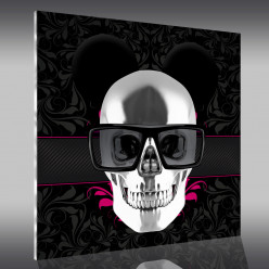 Tableau Plexi Skull