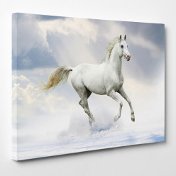 Tableau toile - Cheval 10