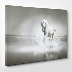 Tableau toile - Cheval 11