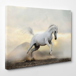 Tableau toile - Cheval 12