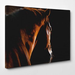 Tableau toile - Cheval 13