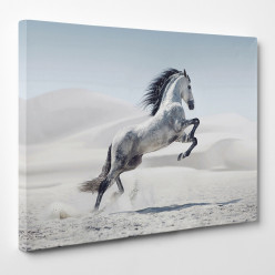 Tableau toile - Cheval 18