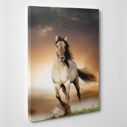 Tableau toile - Cheval