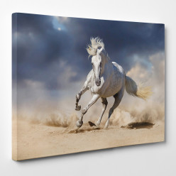 Tableau toile - Cheval 21