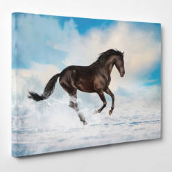 Tableau toile - Cheval 23