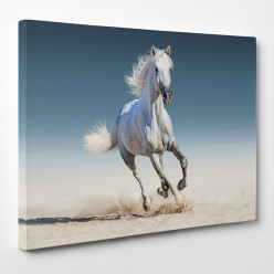 Tableau toile - Cheval 24
