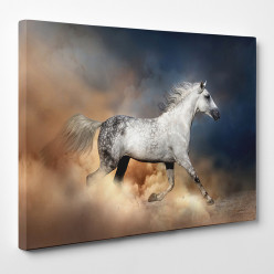 Tableau toile - Cheval 25