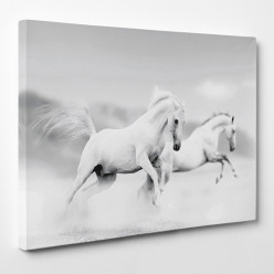 Tableau toile - Chevaux 10