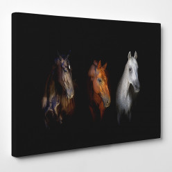 Tableau toile - Chevaux 13