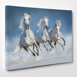 Tableau toile - Chevaux 17