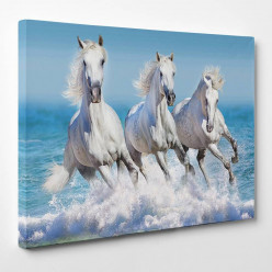 Tableau toile - Chevaux 18