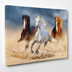 Tableau toile - Chevaux 19